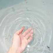 さくら