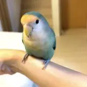 Peach_face⭐︎ 家族で断捨離中の画像