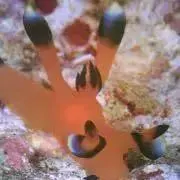 ねずみ☆プロフ必読☆の画像