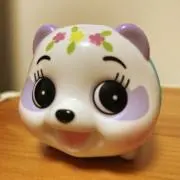 チャタの画像