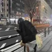 こうの画像