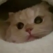 marieの画像
