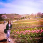 Mihoの画像