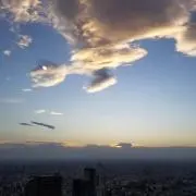 たくの画像