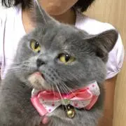るるこ