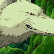 モロ柴の画像