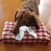 めぐっぺ