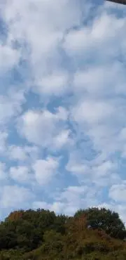 satomiの画像