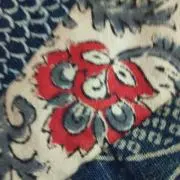 さこの画像