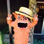 あーちゃんの画像