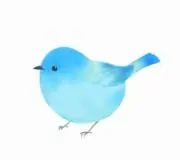 カノン✩.*˚の画像