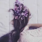honoの画像