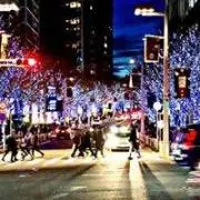 雪洋