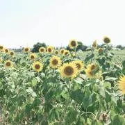 M♡の画像
