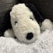nanami｜即購入OK◎24h発送の画像