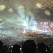 ここここーさんの画像