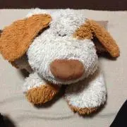 マイチン