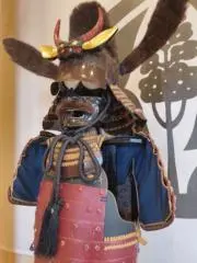 ノブコフの画像