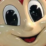 アルマジロの画像