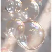 ぽん