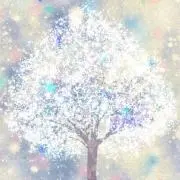 ちかの画像