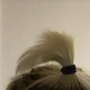 リン.