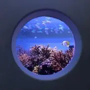 いずの画像
