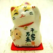たぬき