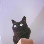 みぃこ☺︎