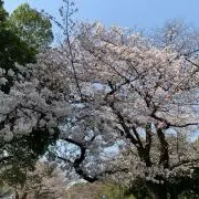 Image of あき