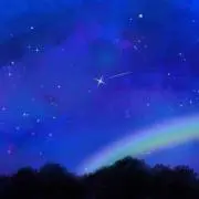 めんまの画像