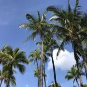 断捨離中_HAHAの画像