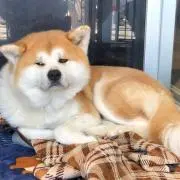 BYSの画像