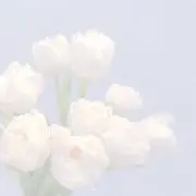 M | プロフご一読くださいの画像