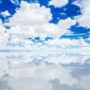 マナベ