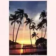 Dreamatoneの画像