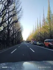 mの画像