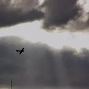 。゜(´つω•`。)゜。