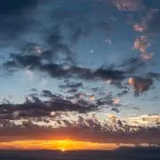 abarthの画像