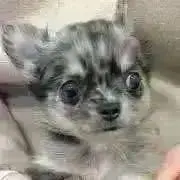ゆーな♪中古品は近々整理しますの画像