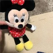 モーリンの画像