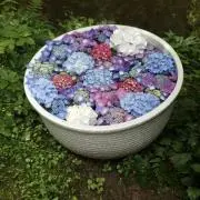 ゆきんこ