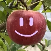りんご♥ᴗ♥の画像