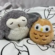 オルペミの画像