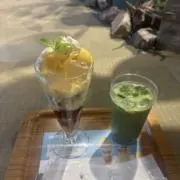 葵の画像