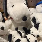 もなもの画像