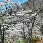 ゆみ