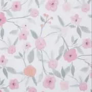 kumamaの画像
