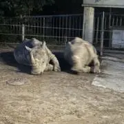 yuの画像