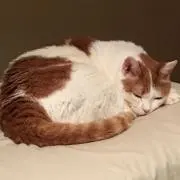 みいちゃん